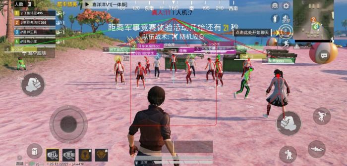 dt和平精英辅助是什么（和平精英辅助为什么不封）
